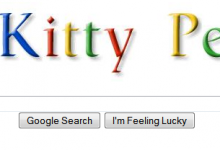 The Kitty Person Googles